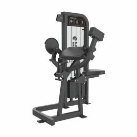 バイセプスカール