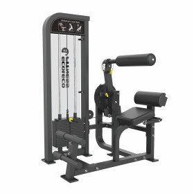 アブドミナル/バックエクステンション