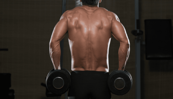 ダンベルシュラッグは「肩を真上に動かす」だけ1