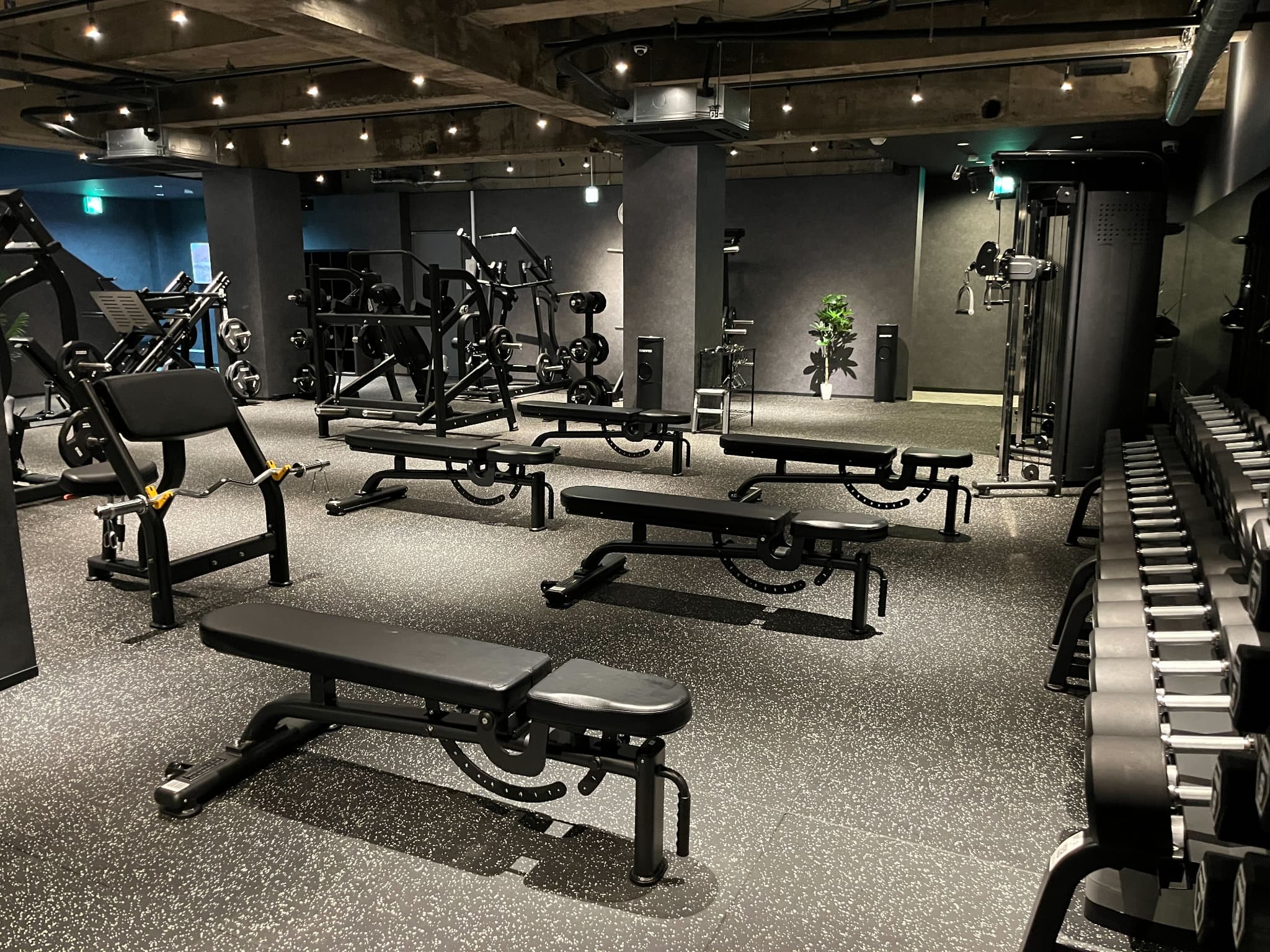 フリーウェイトエリア