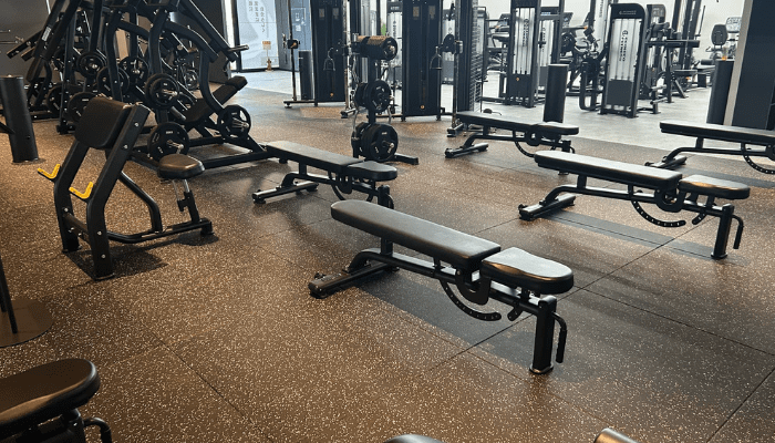 フリーウエイト・プレートロードエリア2