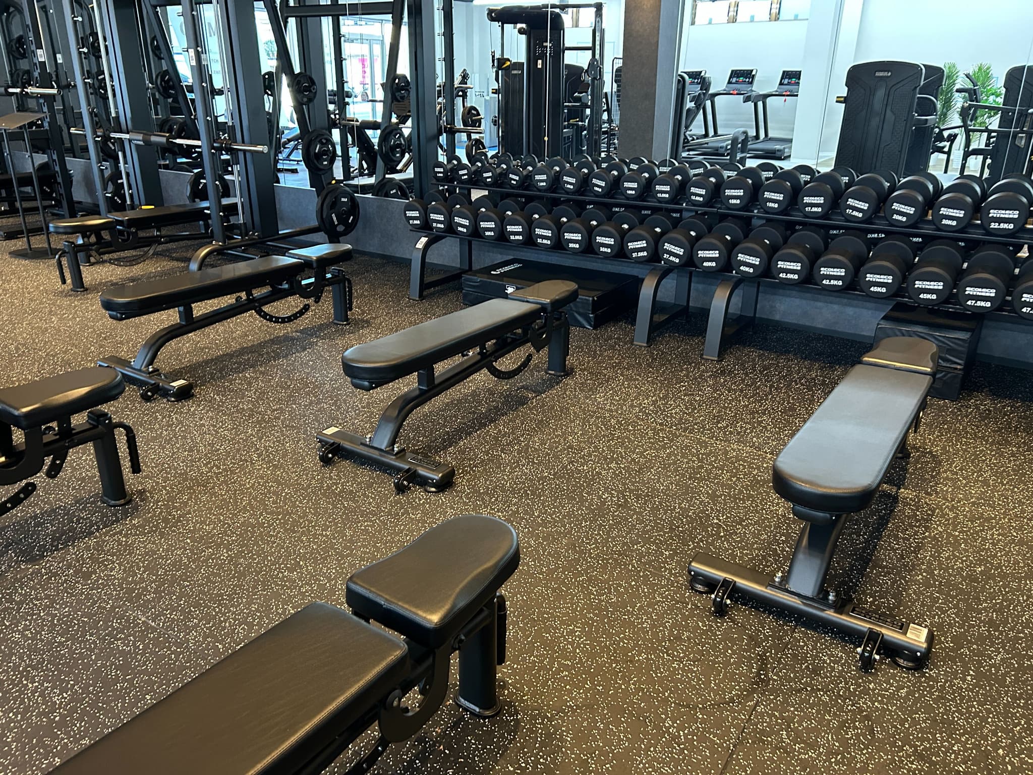 フリーウェイトエリア