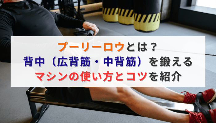 プーリーロウとは？背中（広背筋・中背筋）を鍛えるマシンの使い方とコツを紹介