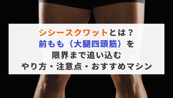 シシースクワットとは？前もも（大腿四頭筋）を限界まで追い込むやり方・注意点・おすすめマシン