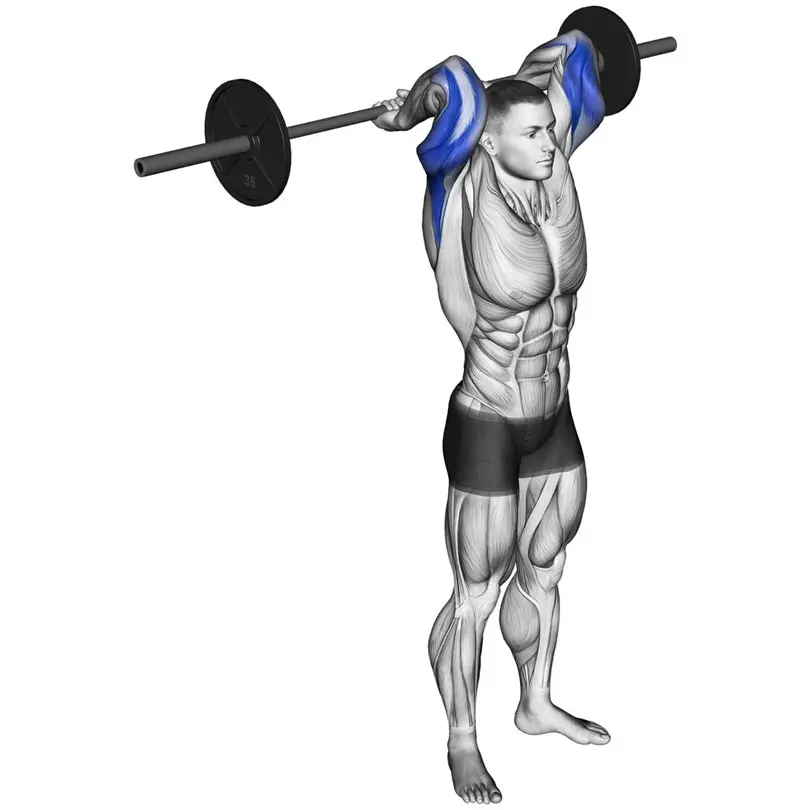 Blog |EZバーで効果的に腕トレ！種目・使い方・注意点を徹底解説｜エコ